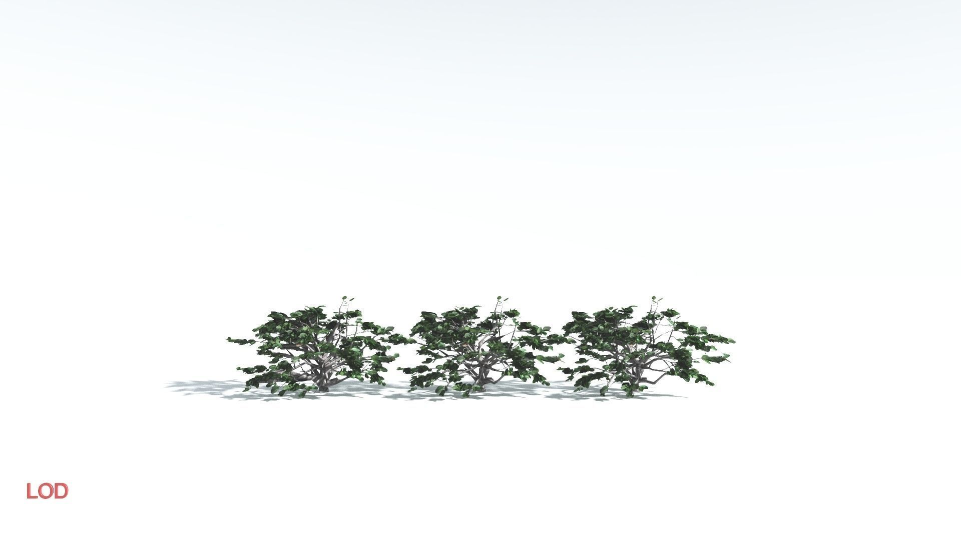 EVERYPlant Tree Heliotrope LowPoly 4 --14 Models-- Low-poly 3D model_4