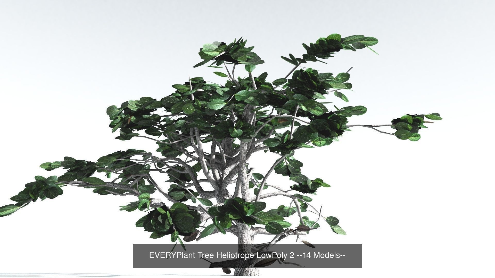 EVERYPlant Tree Heliotrope LowPoly Bundle --56 Models-- 3D Model Collection_2