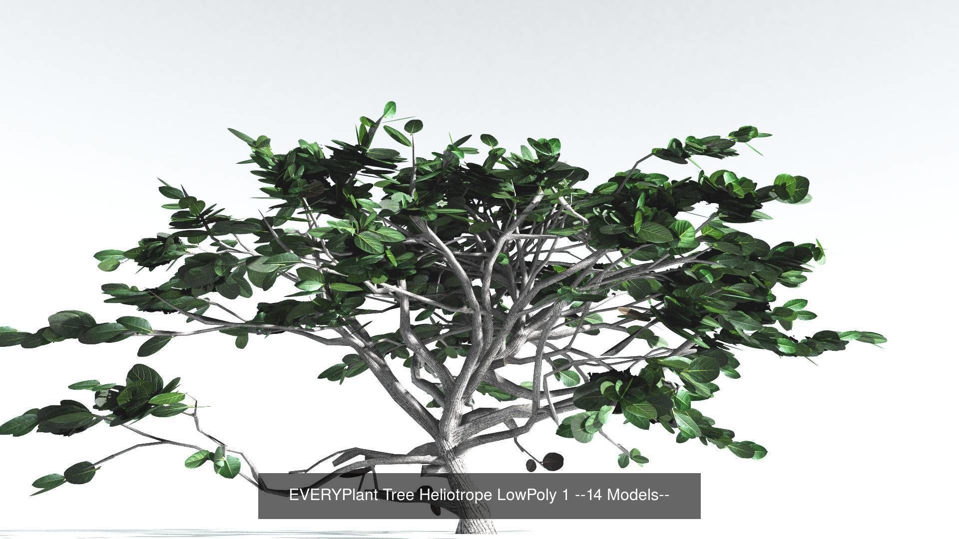EVERYPlant Tree Heliotrope LowPoly Bundle --56 Models-- 3D Model Collection_1