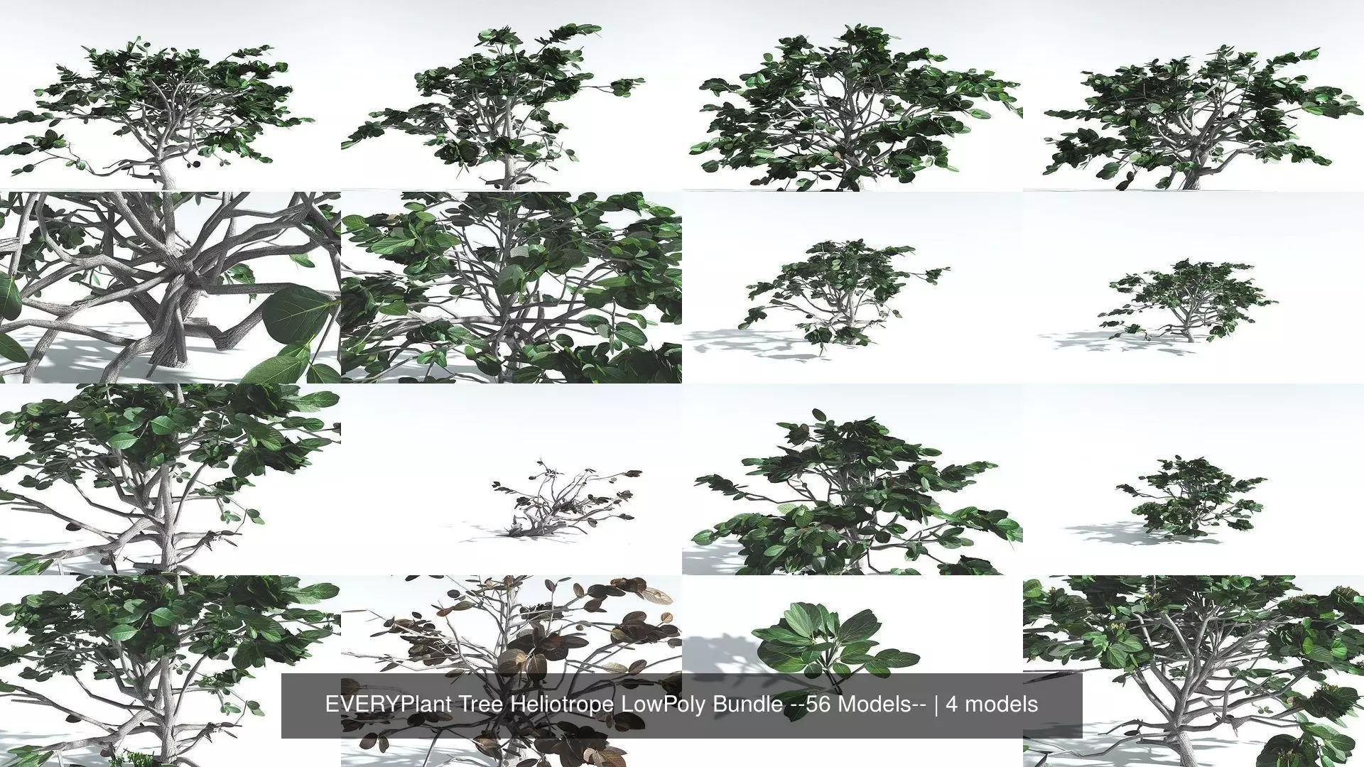 EVERYPlant Tree Heliotrope LowPoly Bundle --56 Models-- 3D Model Collection_0