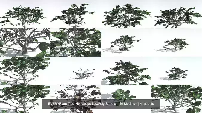 EVERYPlant Tree Heliotrope LowPoly Bundle --56 Models-- 3D Model Collection