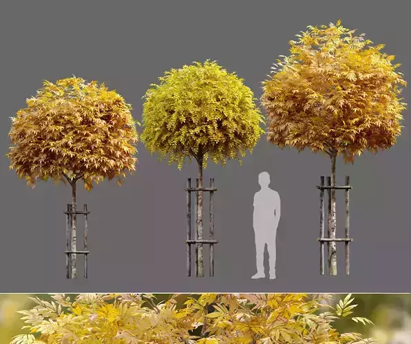 Tree with wooden guard 3D model