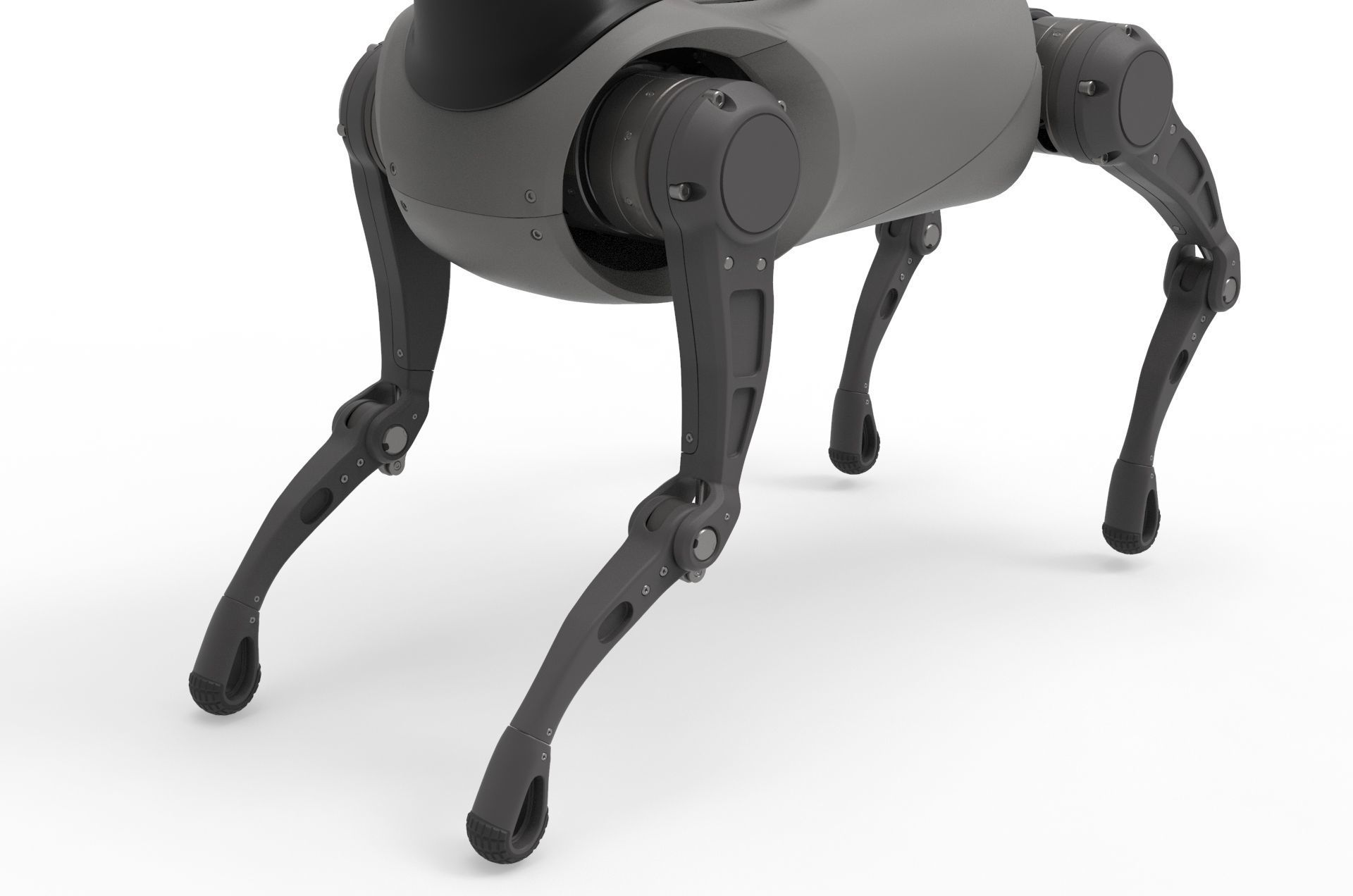Cyber  Robot dog 3D model_8