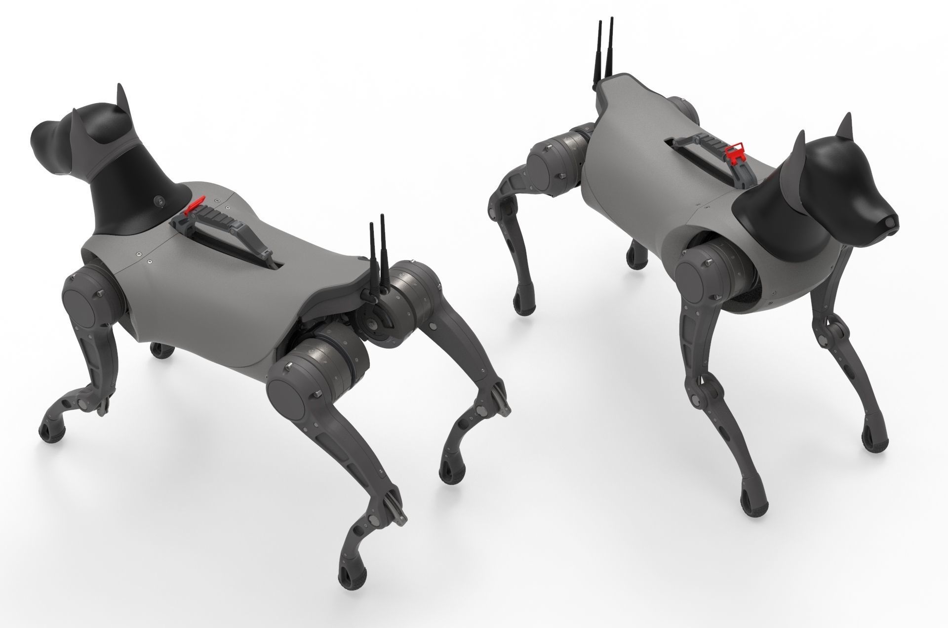 Cyber  Robot dog 3D model_10