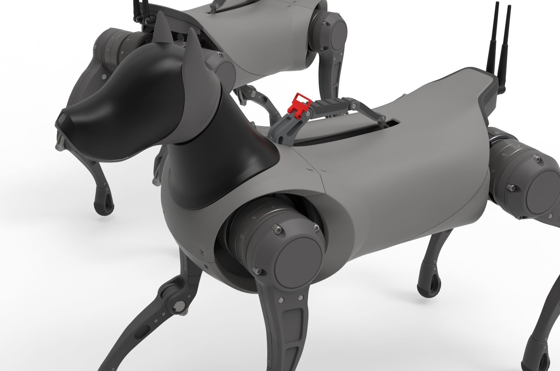 Cyber  Robot dog 3D model_13