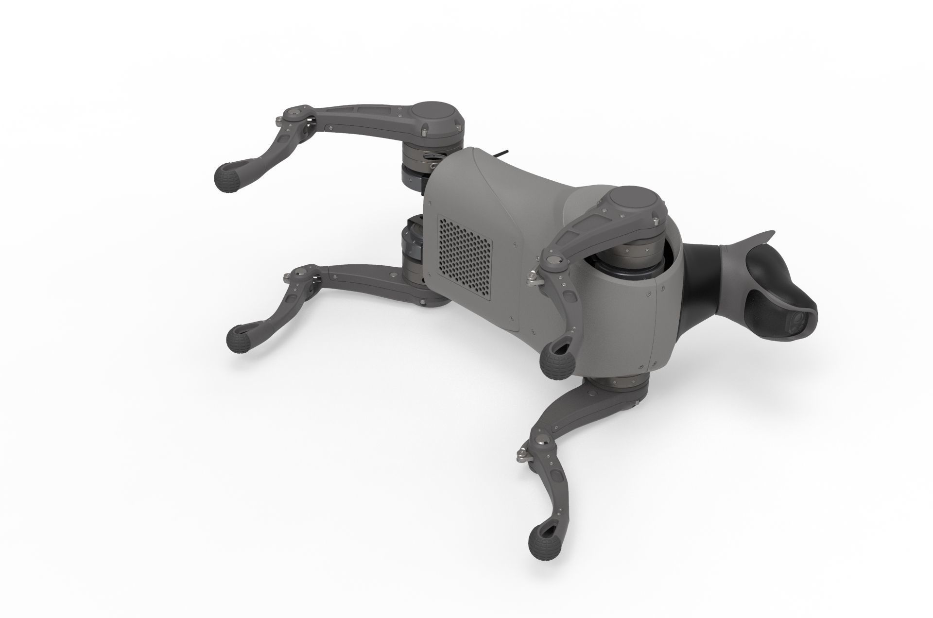 Cyber  Robot dog 3D model_19