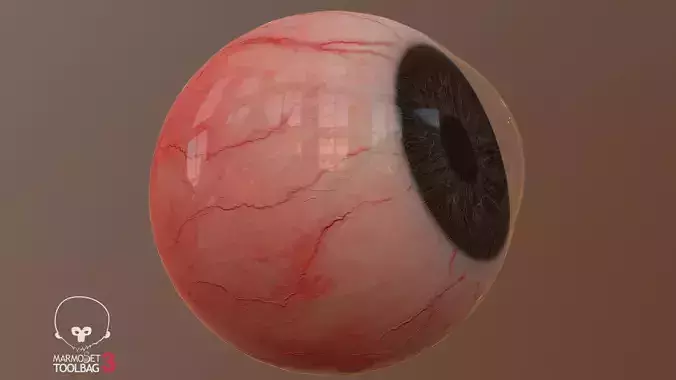 REALIASTIC EYEBALL GAME-READY