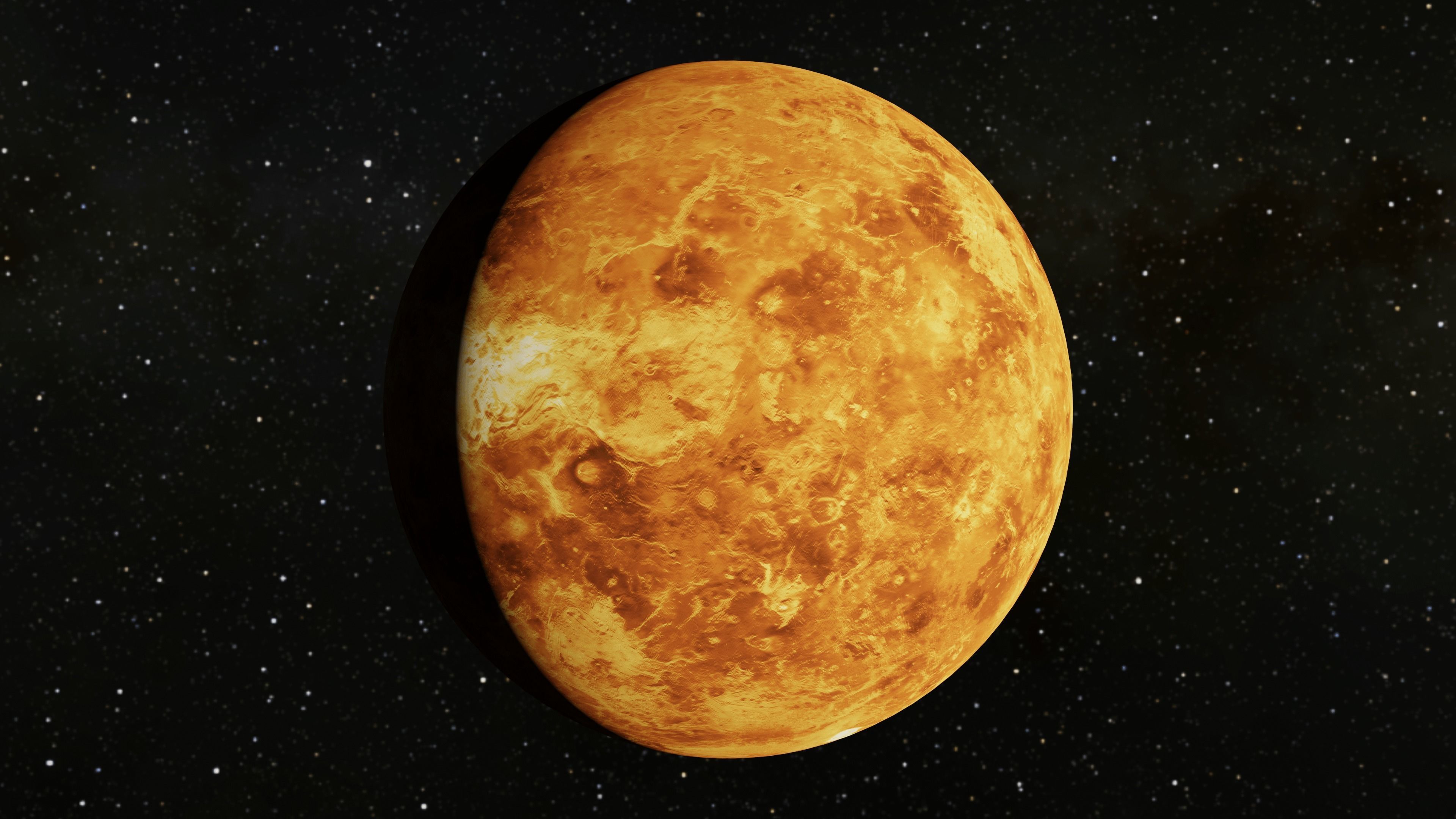Venus 3D Model Low-poly 3D model_4
