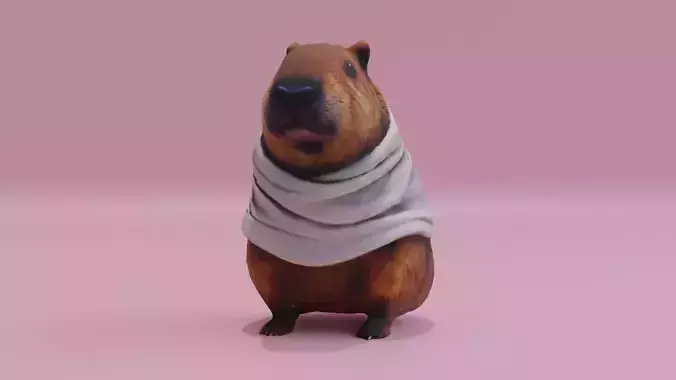 Capybara cute Wearing cloth