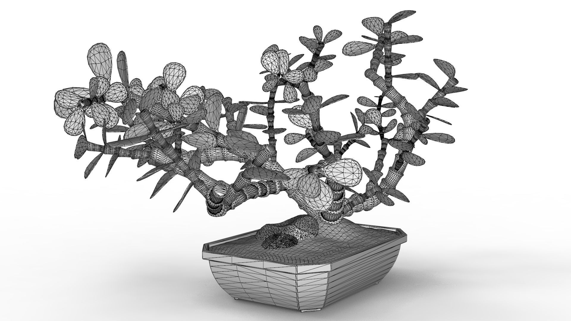 Bonsai Tree 3D model_9