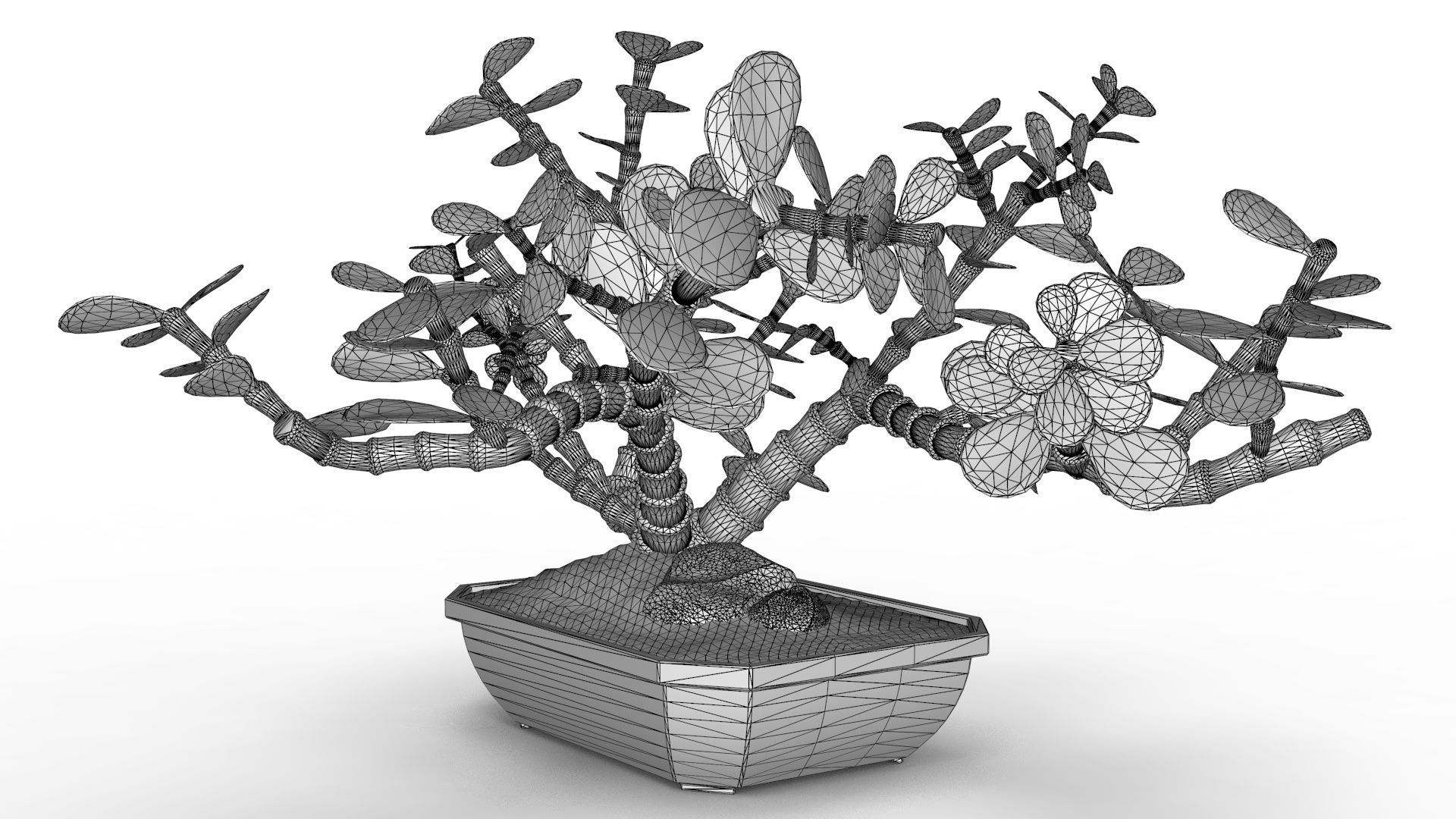 Bonsai Tree 3D model_15