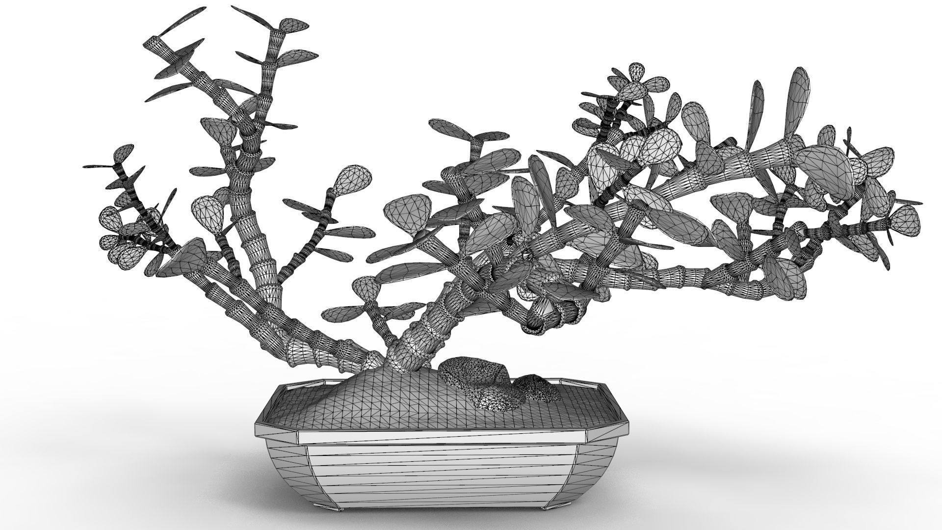 Bonsai Tree 3D model_14