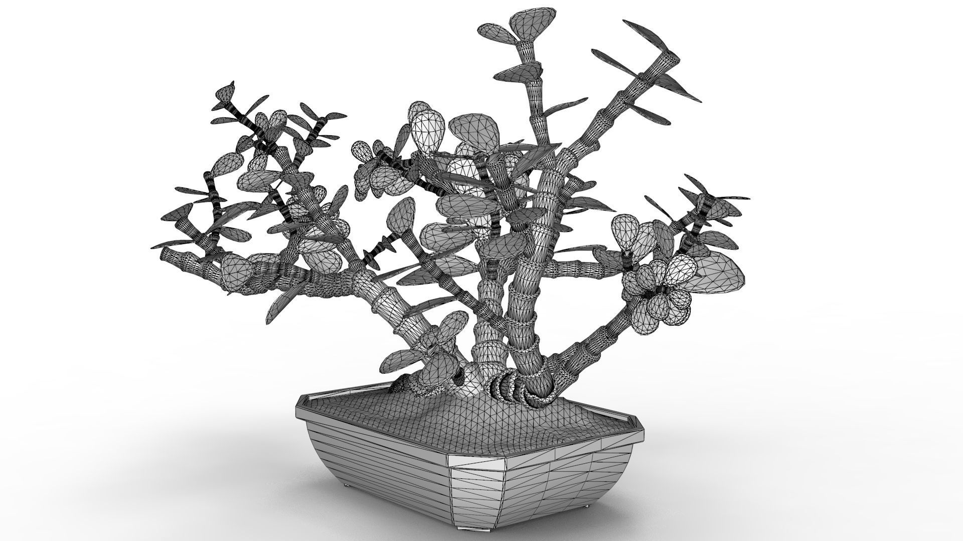 Bonsai Tree 3D model_11