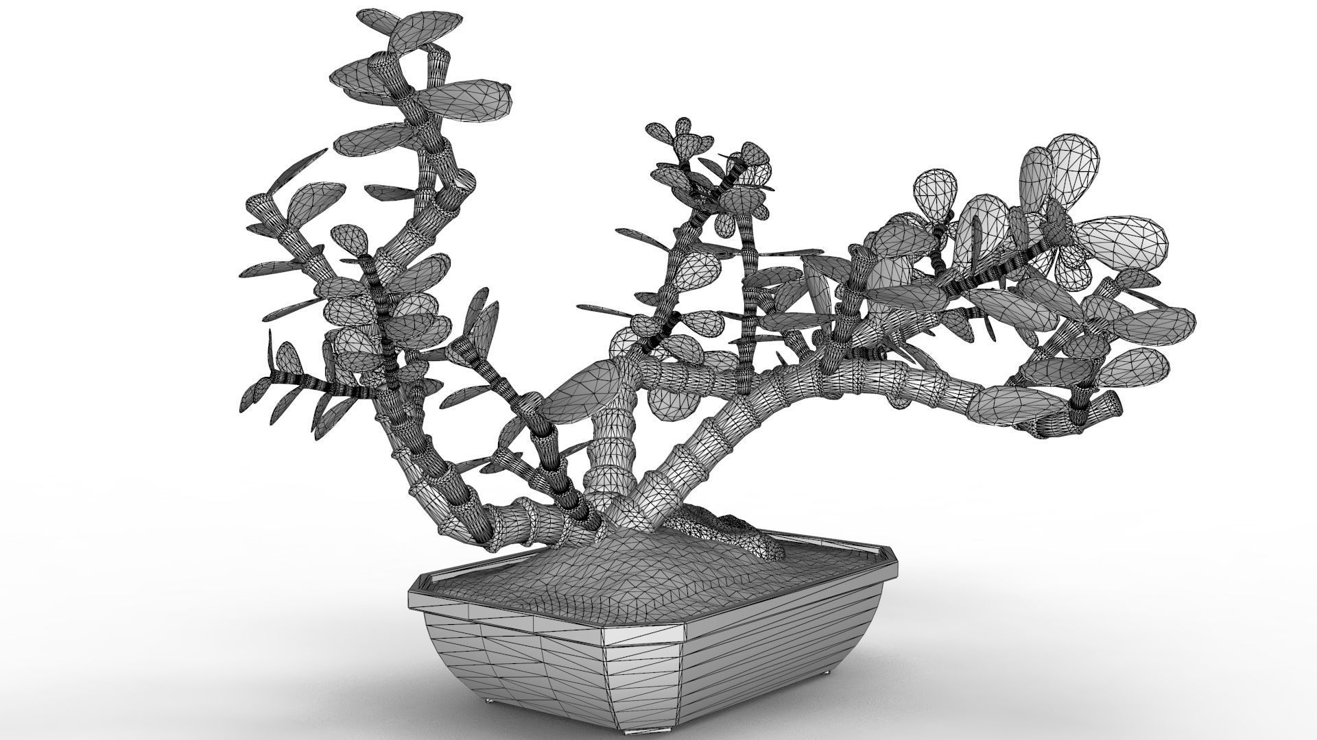 Bonsai Tree 3D model_13