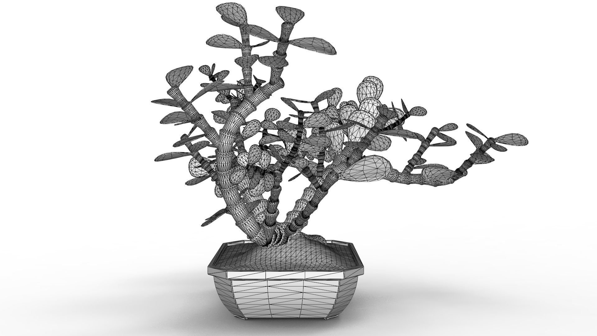 Bonsai Tree 3D model_12