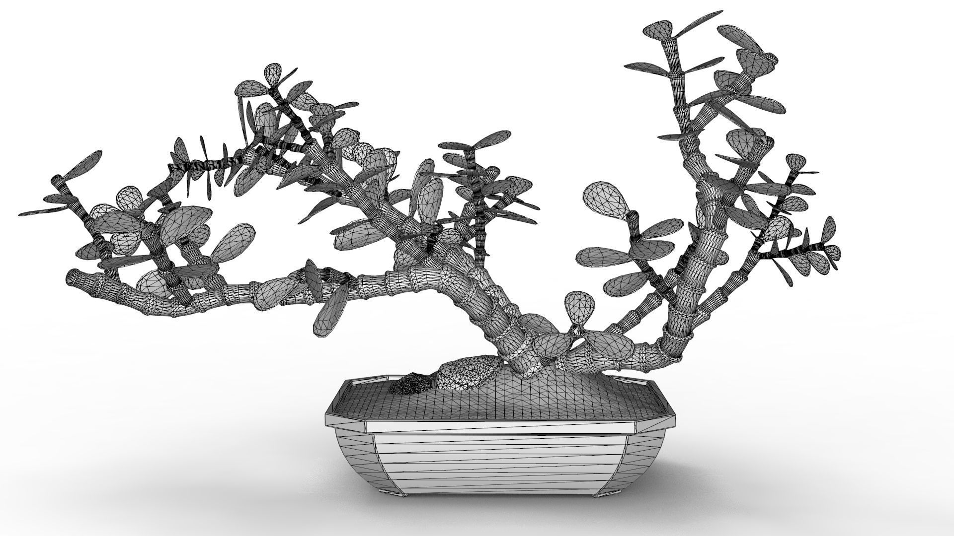 Bonsai Tree 3D model_10