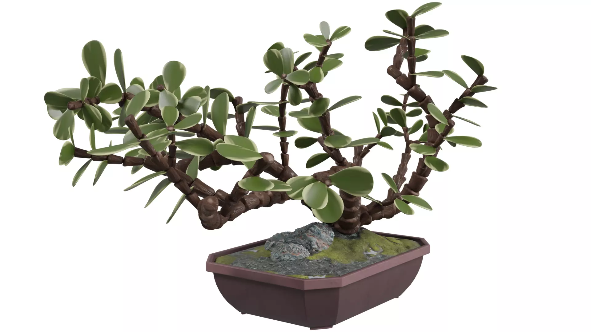 Bonsai Tree 3D model_0