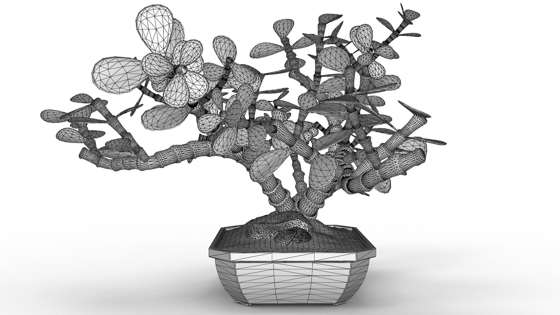 Bonsai Tree 3D model_16