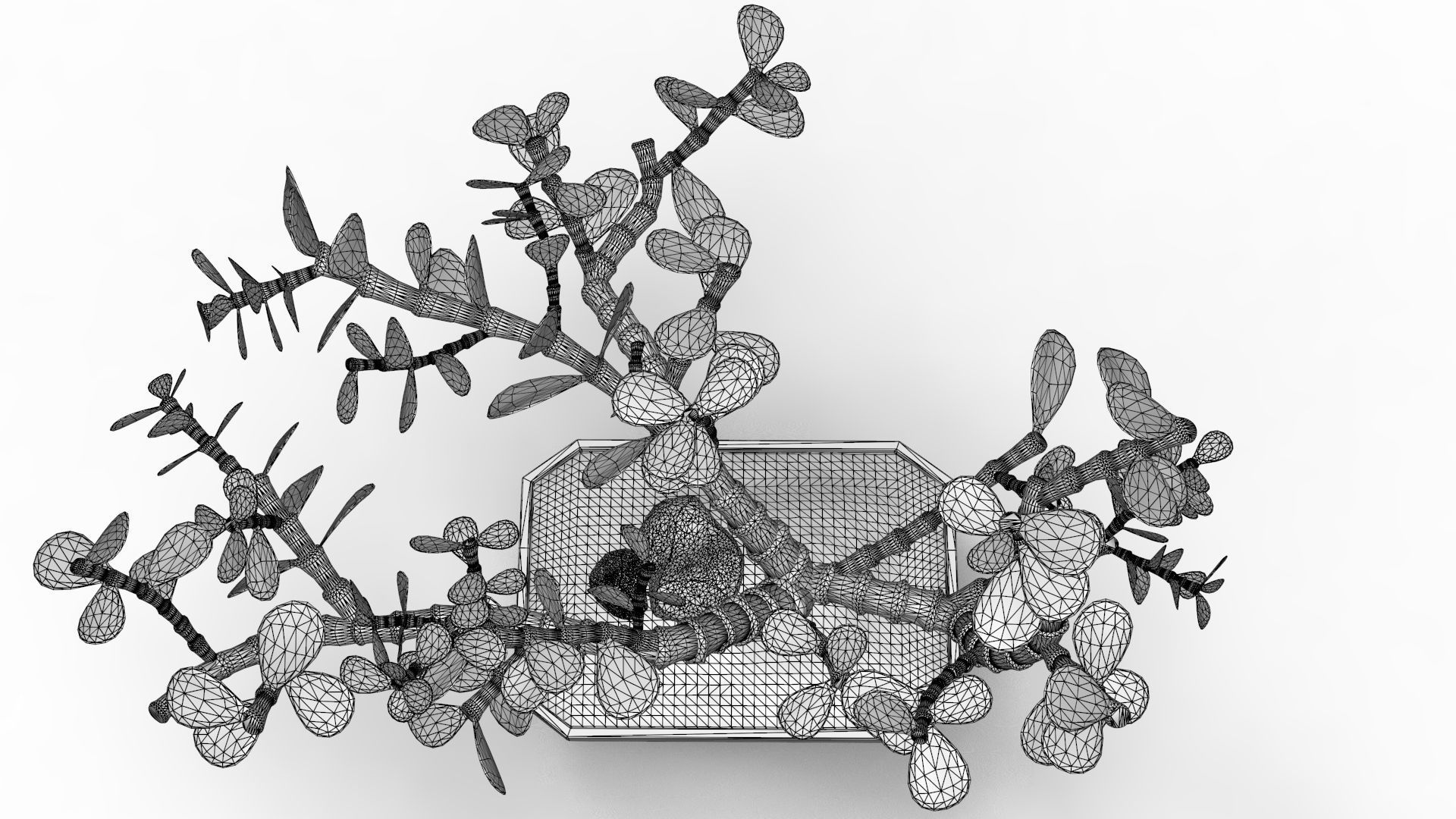 Bonsai Tree 3D model_17