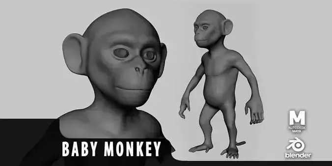 Monkey Baby Low-poly 3D model