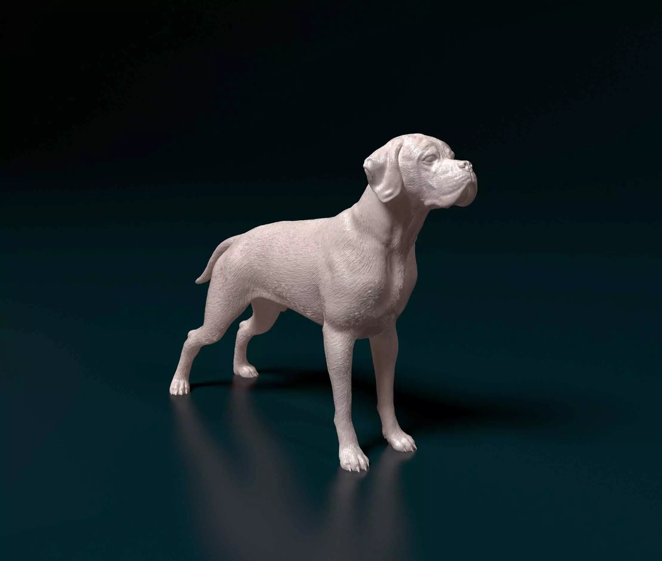 Portuguese Pointer 3D print model