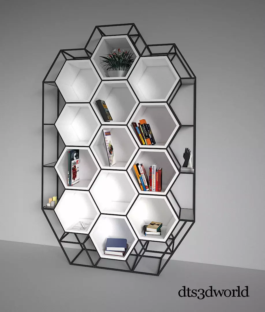 Hexagon Bookshelf by DT 3D model