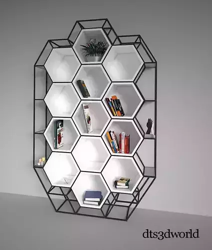 Hexagon Bookshelf by DT