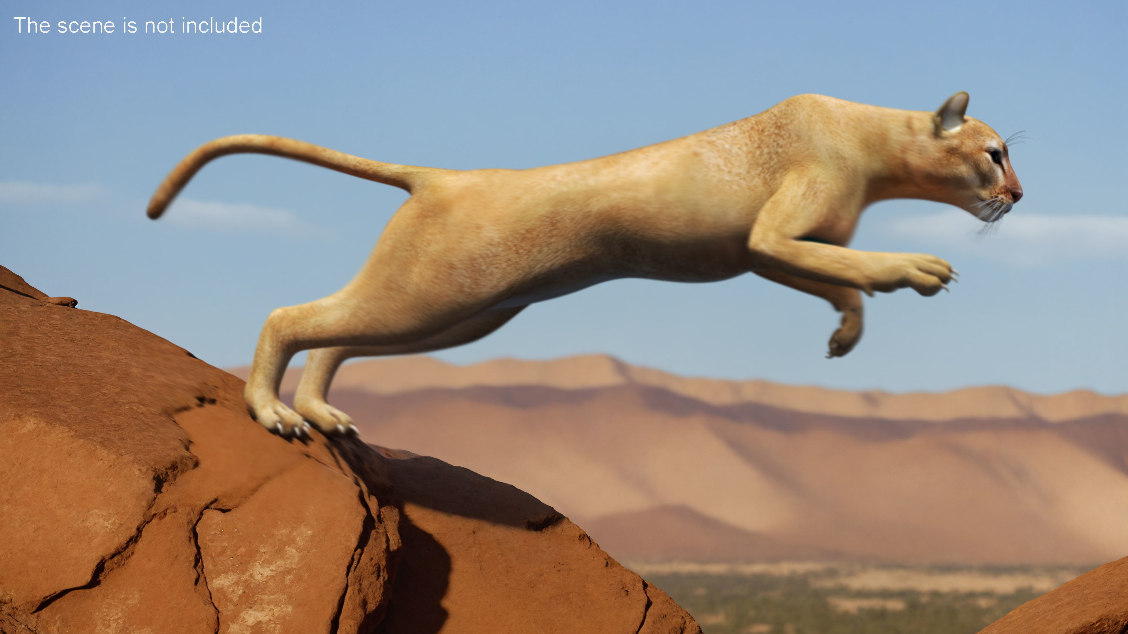 Puma Rigged 3D model
