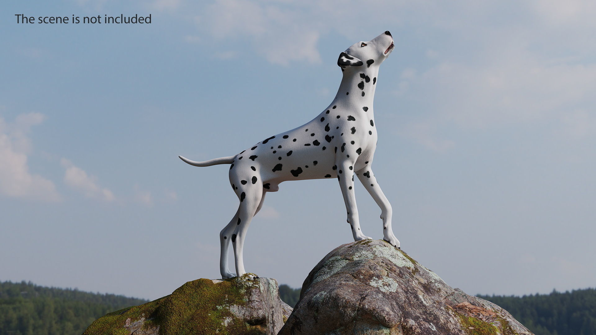 Dalmatian Dog Rigged 3D model