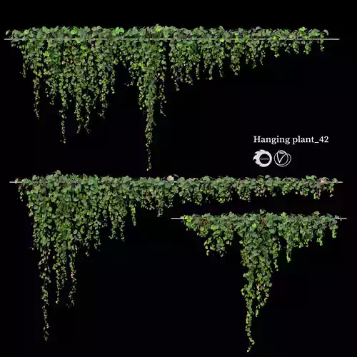 Hanging plant 42
