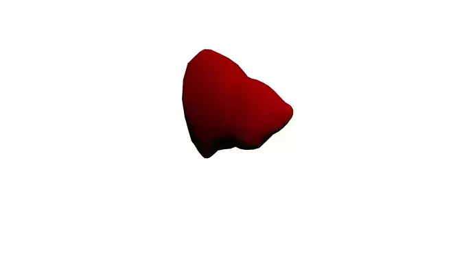 Cartoon Human Liver 3D model