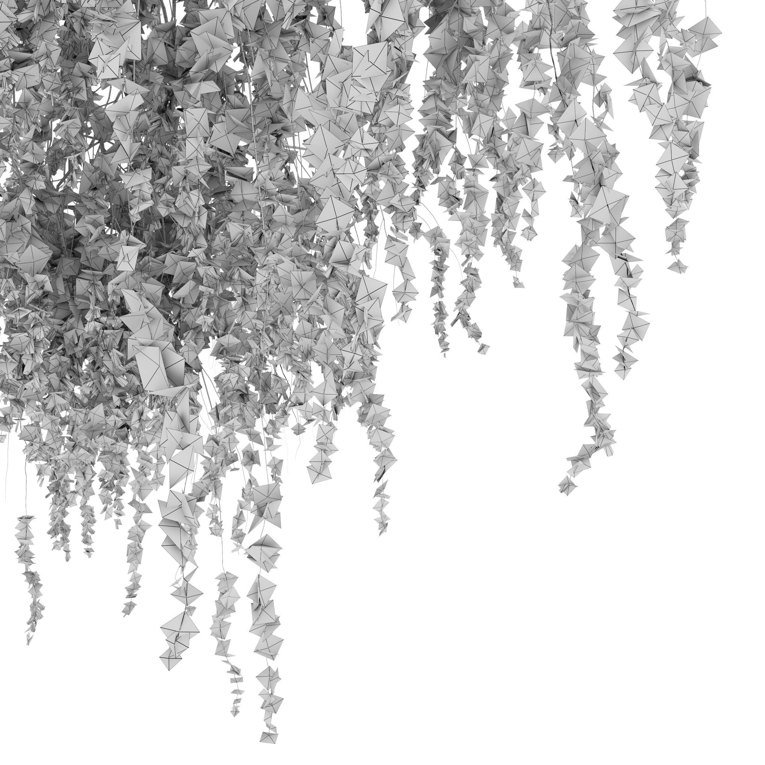 Weeping cherry 3D model_6