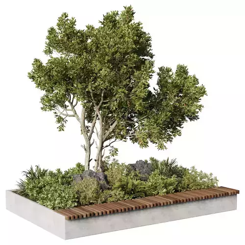 Concrete  Plants - set outdoor plants 199