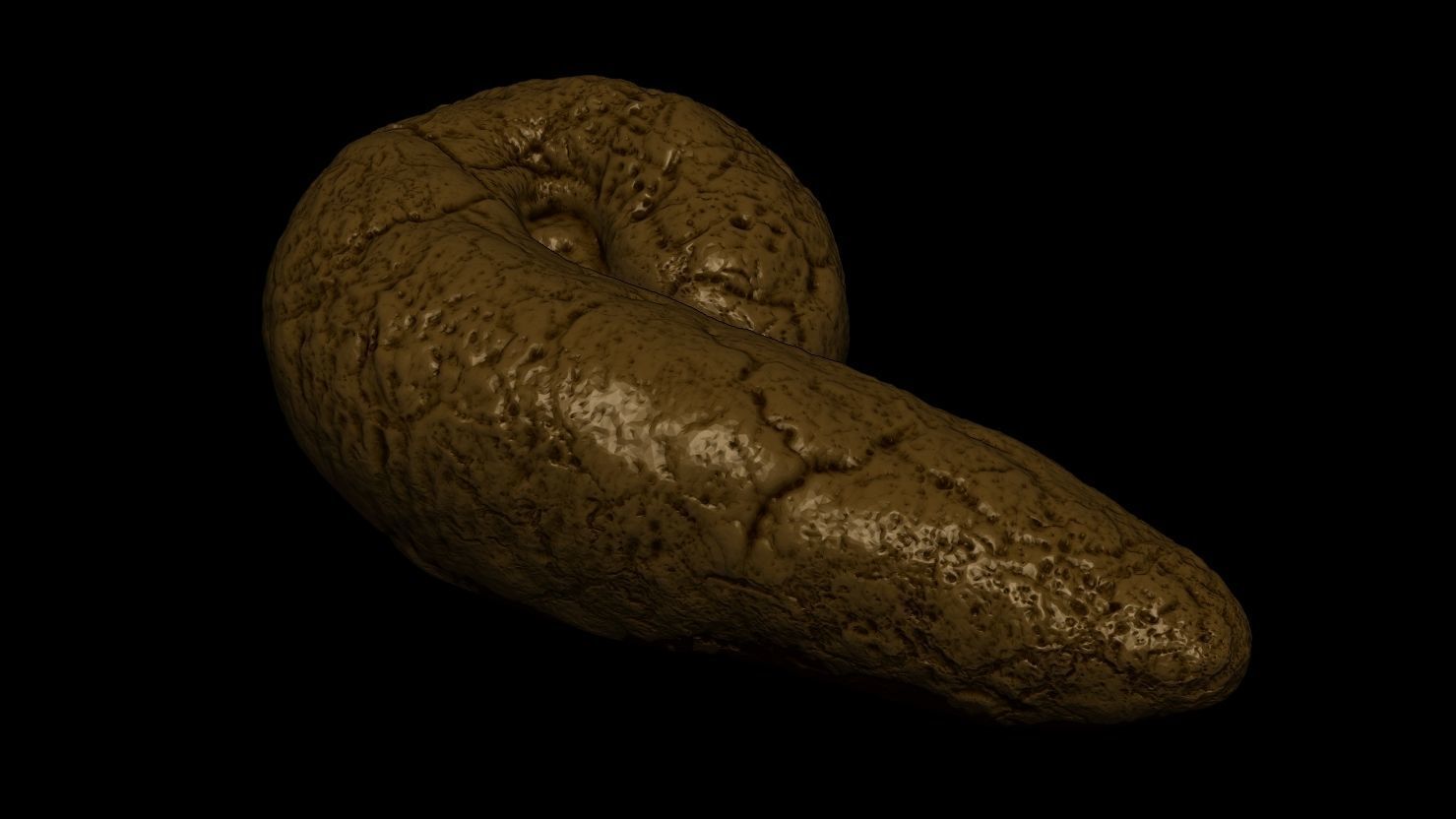 3D PRINTABLE POOP PRANK - MODEL 02 3D print model_7