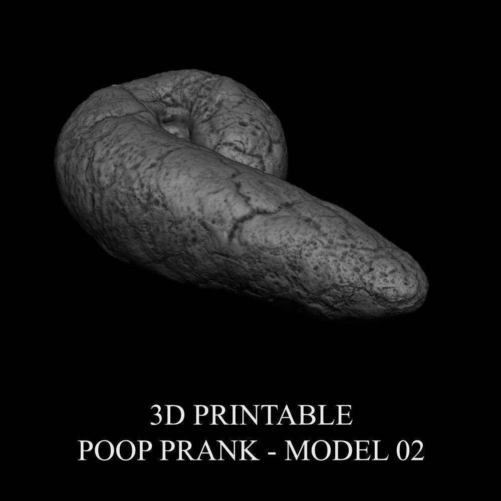 3D PRINTABLE POOP PRANK - MODEL 02 3D print model_10