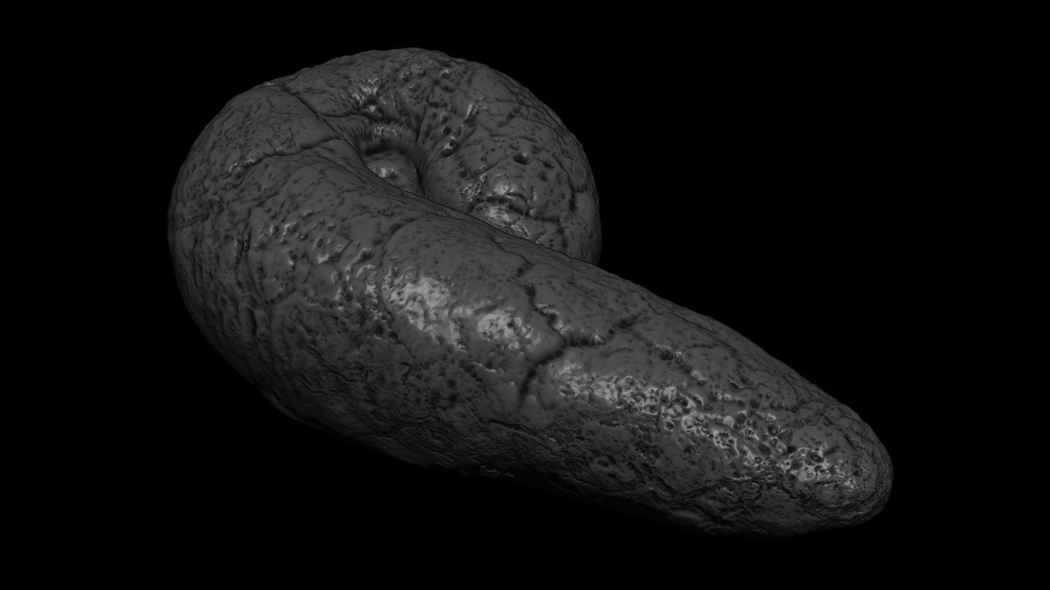 3D PRINTABLE POOP PRANK - MODEL 02 3D print model_1