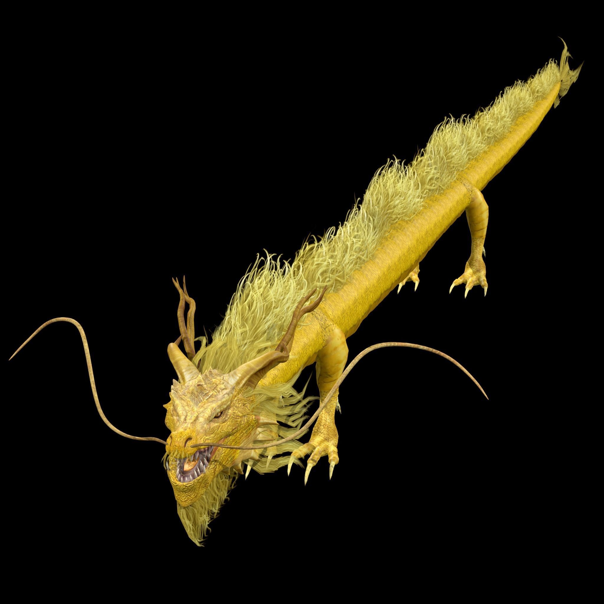 Golden Chinese Dragon 3D model_10