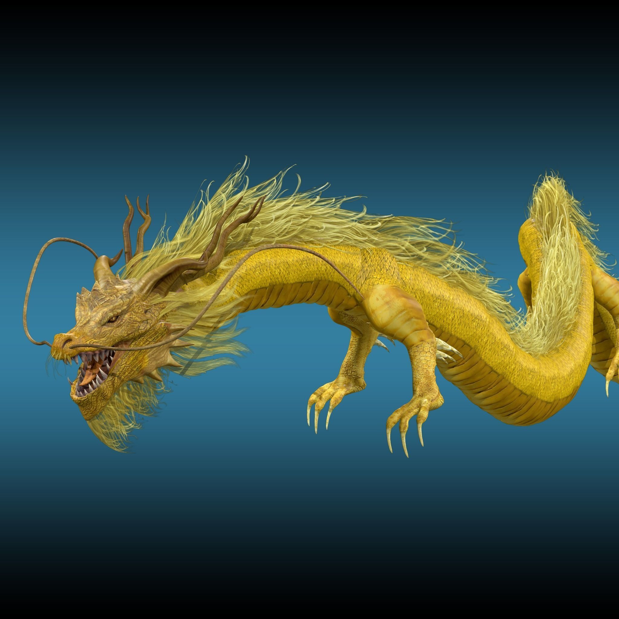 Golden Chinese Dragon 3D model_5