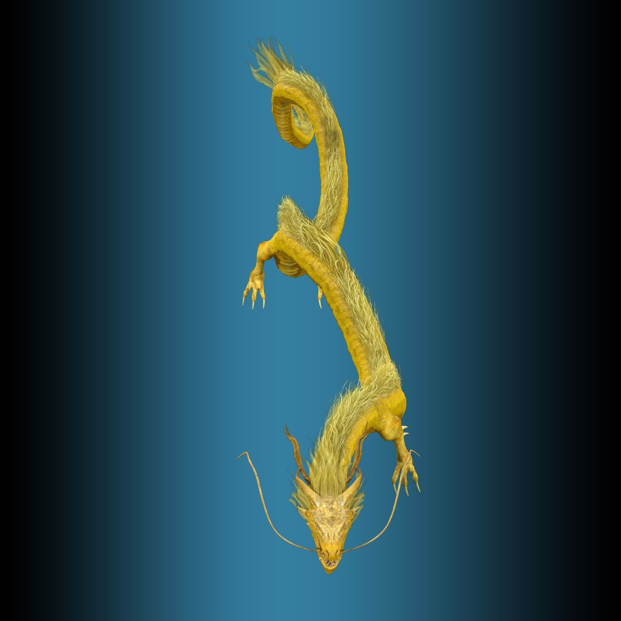 Golden Chinese Dragon 3D model_8