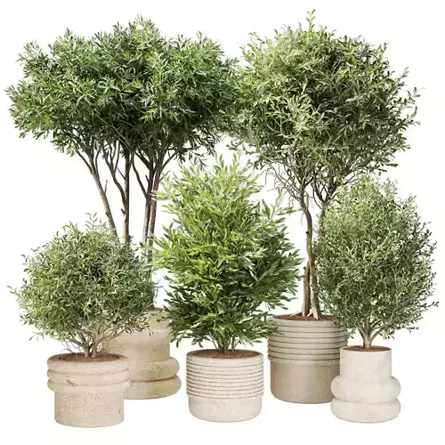 Collection of trees and shrubs for indoor spaces