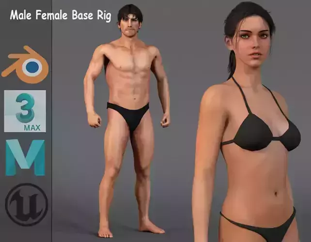 Male Female Base Model Rig Low-poly 3D model Male Female Base Model Rig Low-poly 3D model