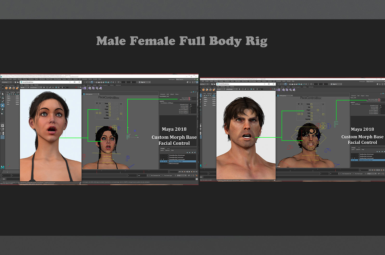 Male Female Base Model Rig Low-poly 3D model_20