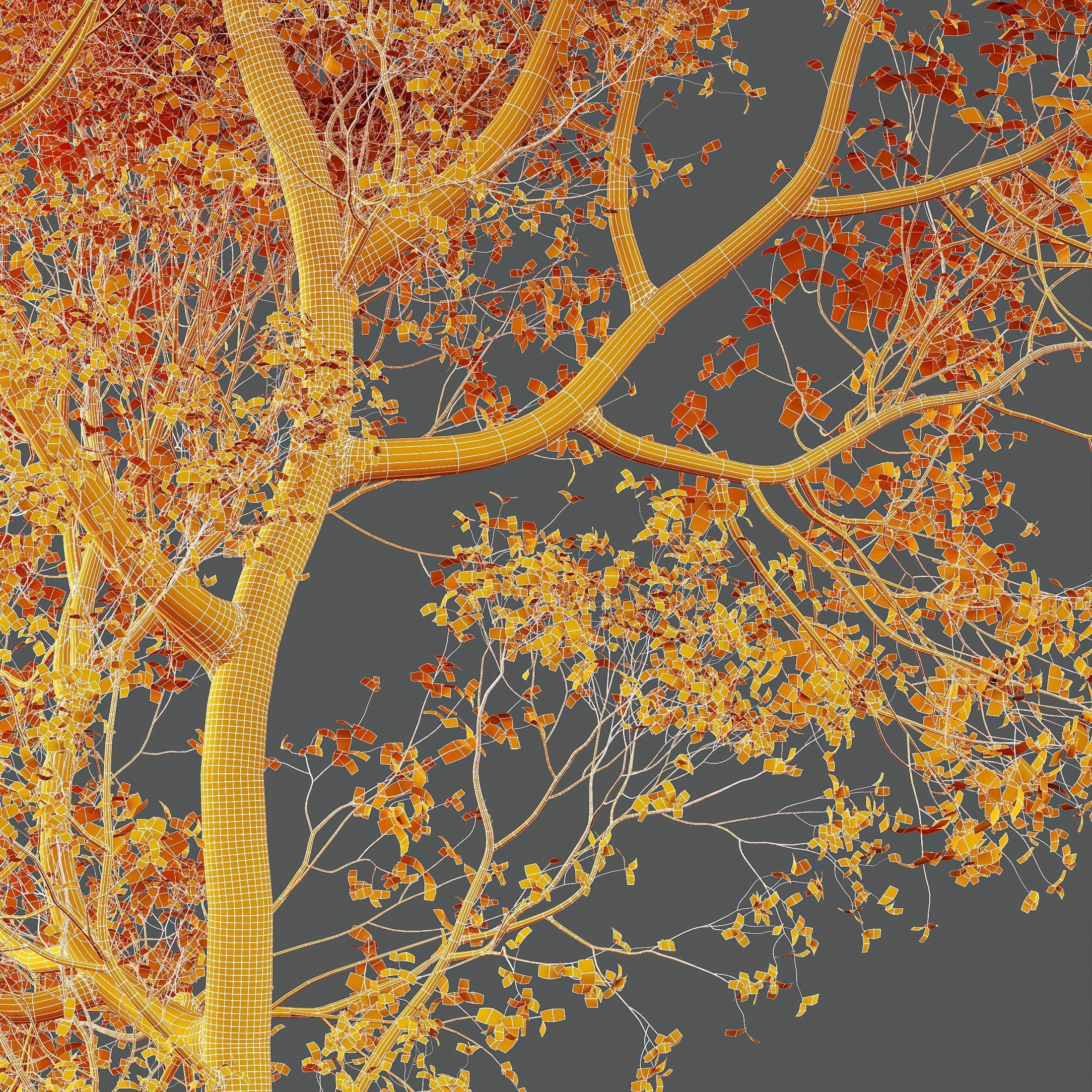 HQ Plants Shorea Robusta Sal Tree 3D model_4