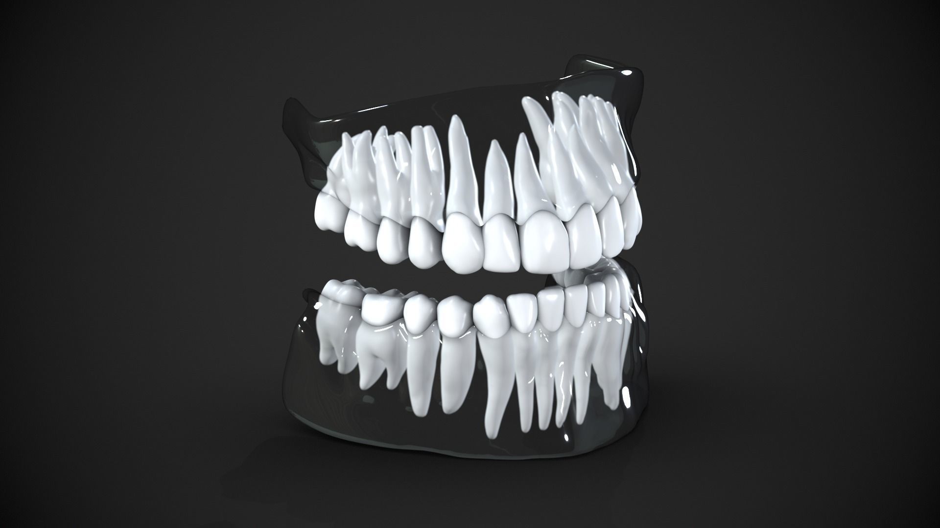 Dental anatomy Real human teeth anatomy medical case 3D print model_8