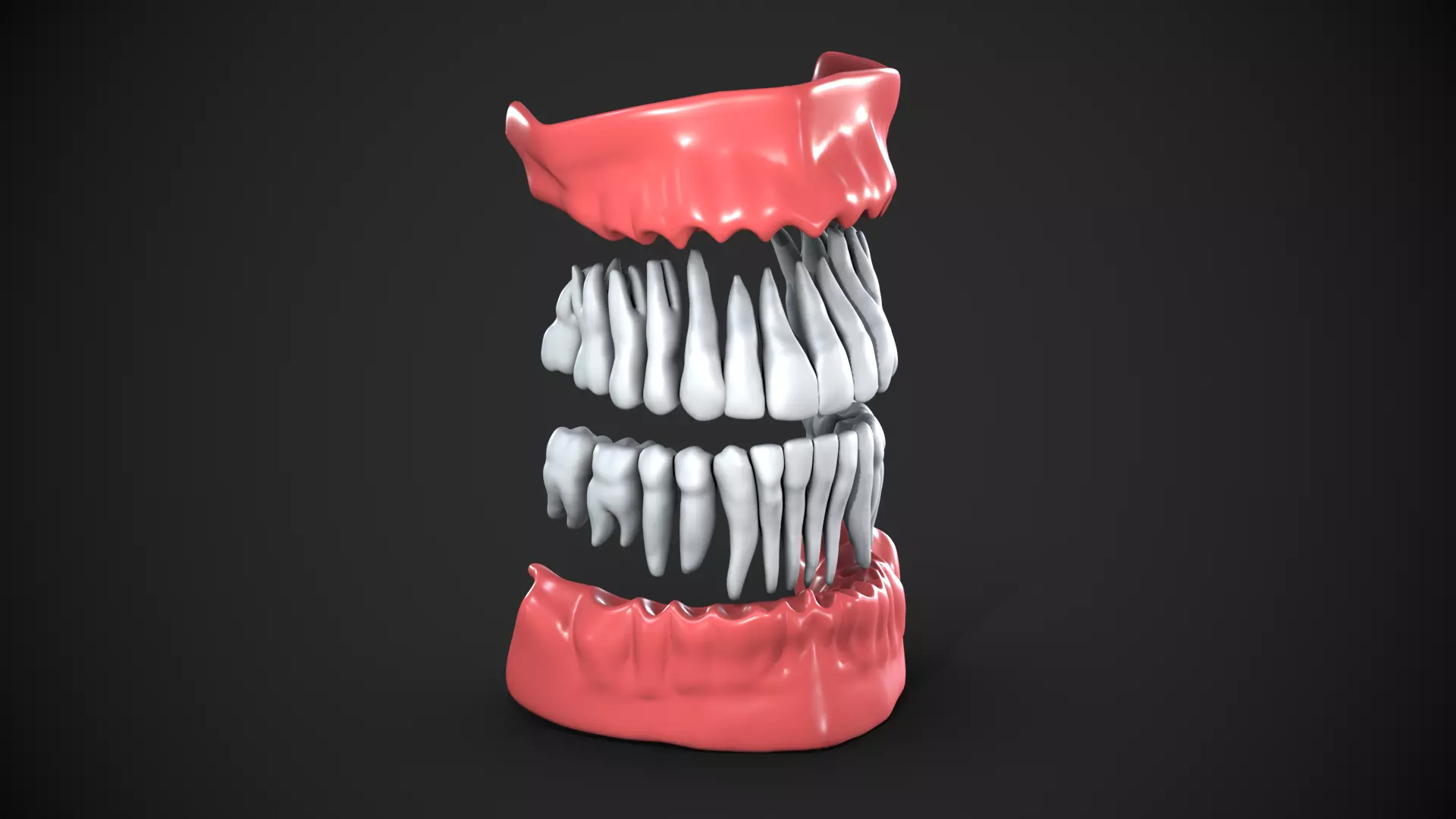 Dental anatomy Real human teeth anatomy medical case 3D print model_0