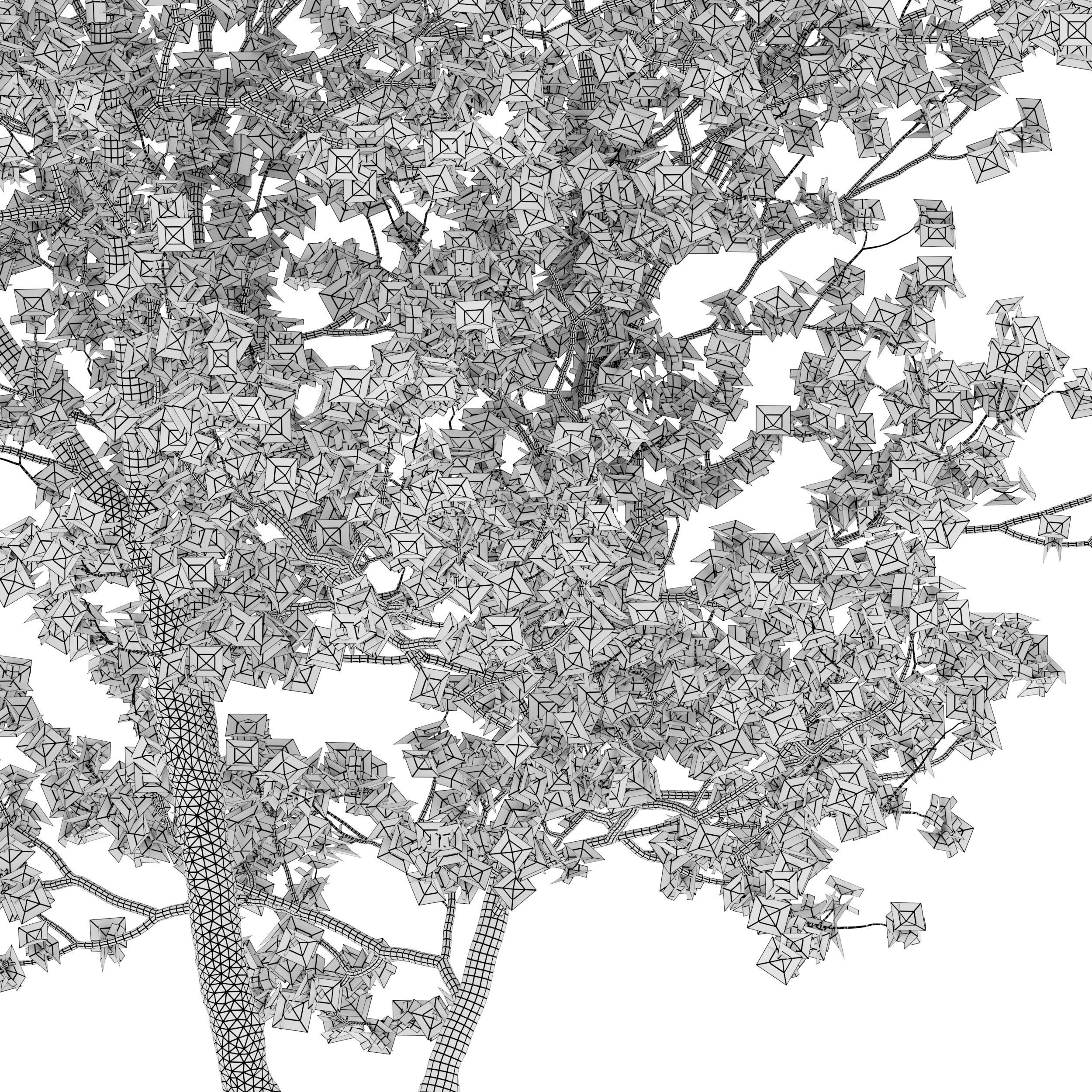 Dogwood tree 02 3D model_6