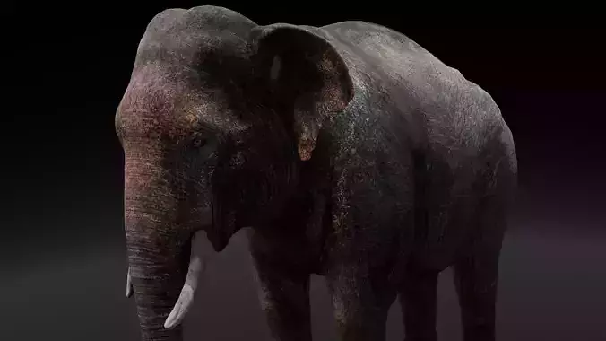Elephant 3D Model Low-poly 3D model