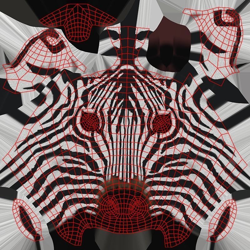 Zebra - Blender 3D model_8