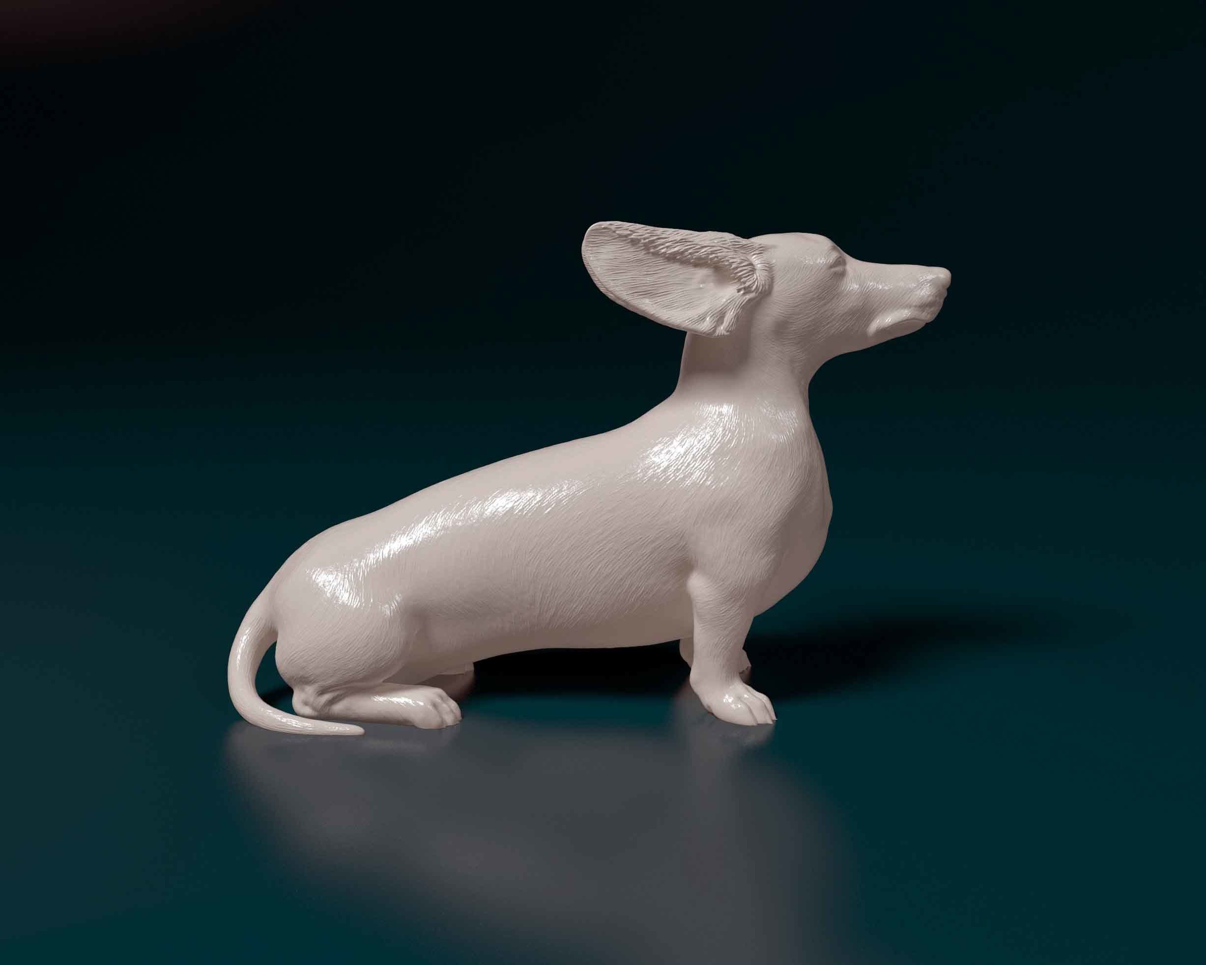 Dachshund through the wind 3D print model_1