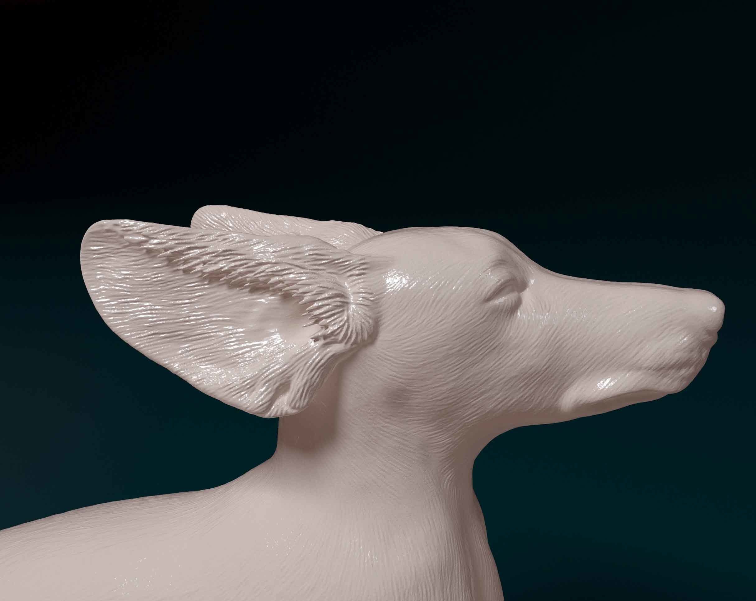Dachshund through the wind 3D print model_4